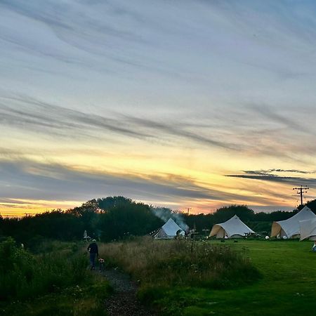 Lakeside Glamping Firecrest St Columb Major Zewnętrze zdjęcie