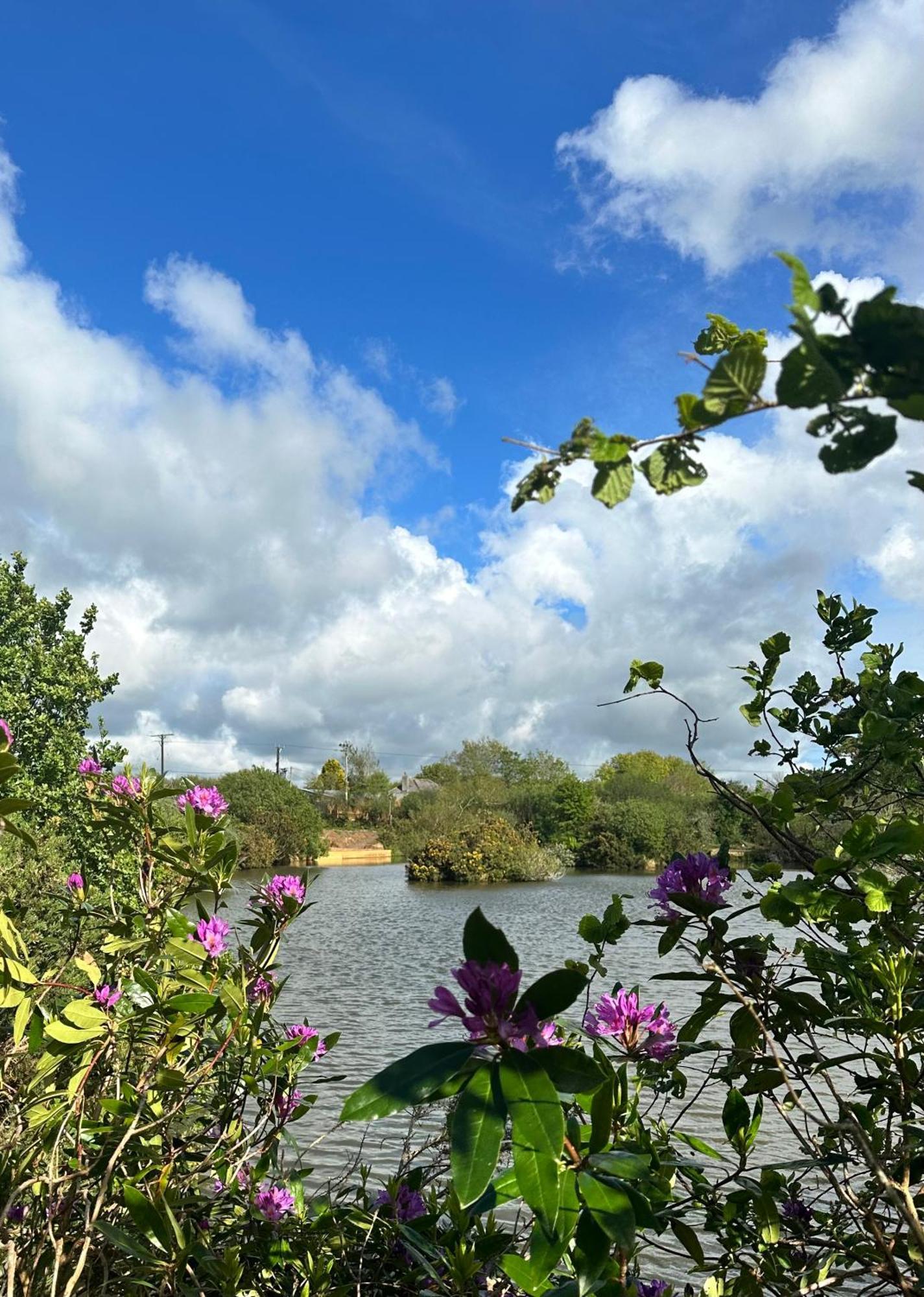 Lakeside Glamping Firecrest St Columb Major Zewnętrze zdjęcie