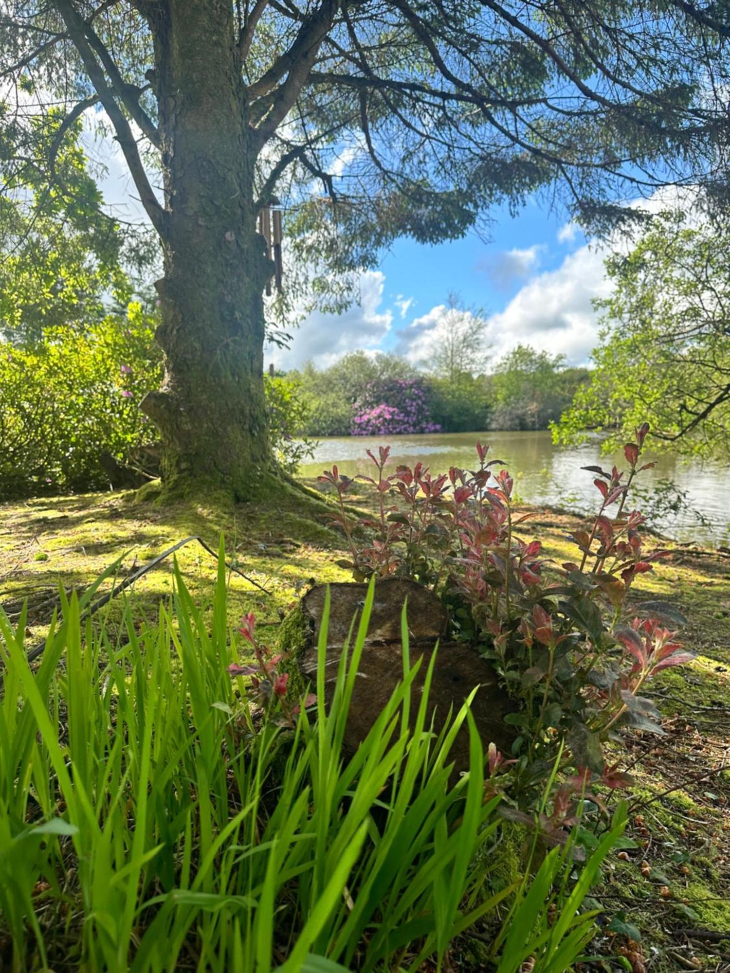Lakeside Glamping Firecrest St Columb Major Zewnętrze zdjęcie