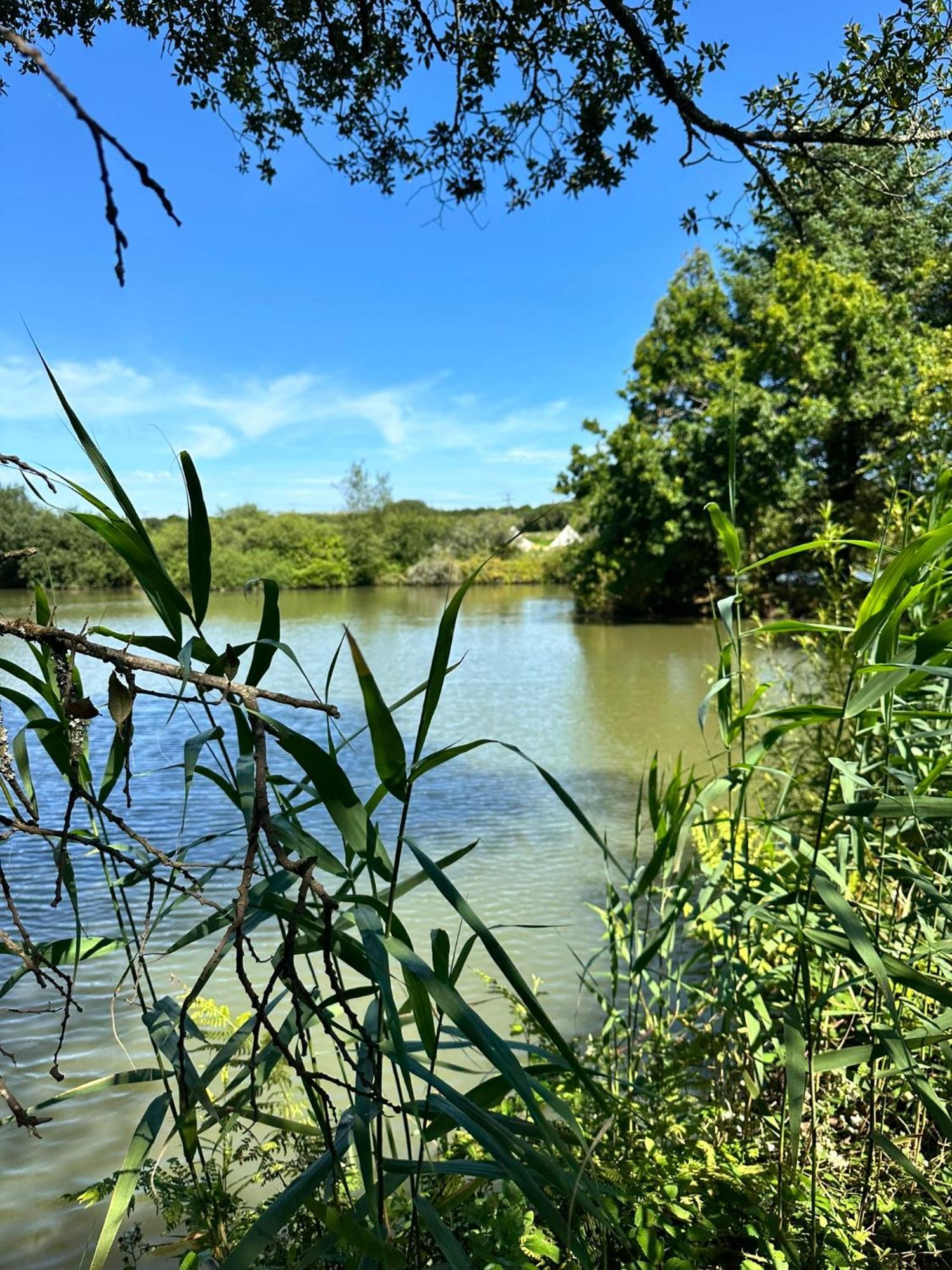 Lakeside Glamping Firecrest St Columb Major Zewnętrze zdjęcie